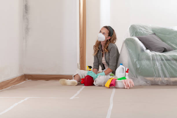 Reliable Mold Remediation contractor in Woodville, TX by Cheap Mold Removal